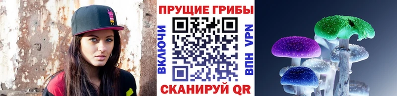 Псилоцибиновые грибы мухоморы  кракен как войти  площадка клад  Клин 