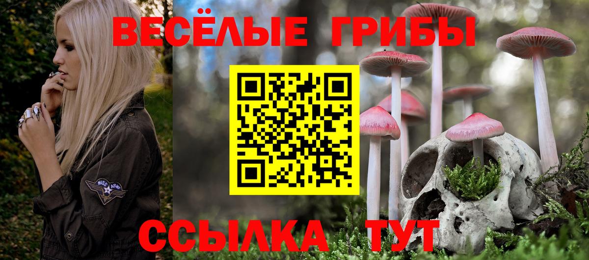 Псилоцибиновые грибы MAGIC MUSHROOMS  Псилоцибиновые грибы Cubensis  наркотики  Клин  Вход с VPN 